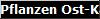 Pflanzen Ost-Kanadas