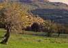 Sizilien