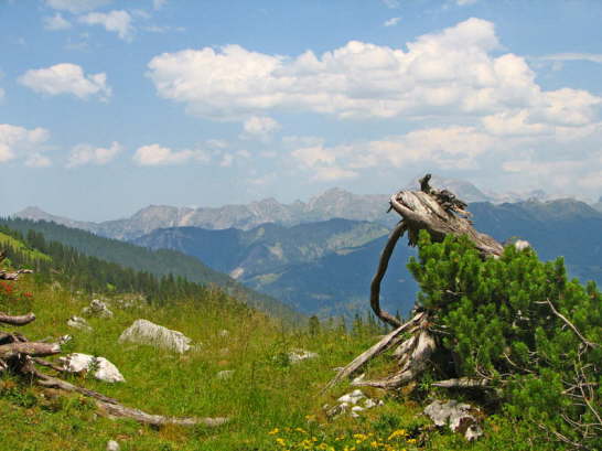 Montafon