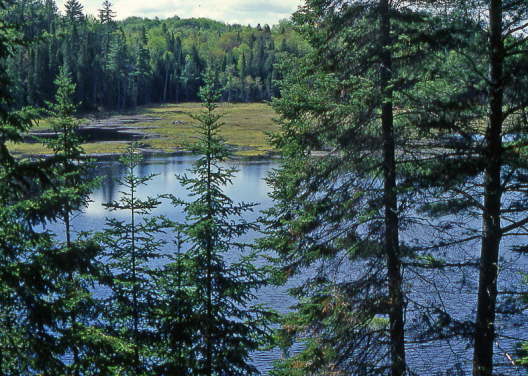 Kanada