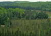 Kanada