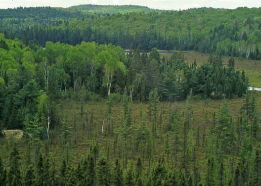 Kanada