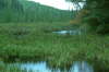 Kanada