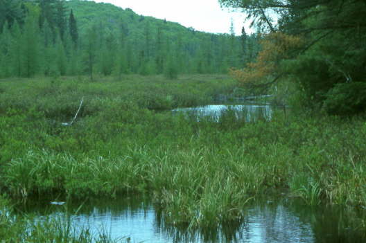 Kanada