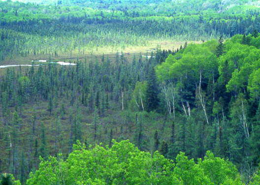 Kanada