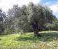 Rhodos