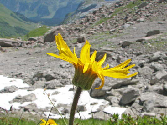 Berg Wohlverlei