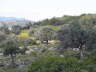 Rhodos