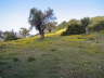 Rhodos