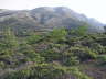 Rhodos