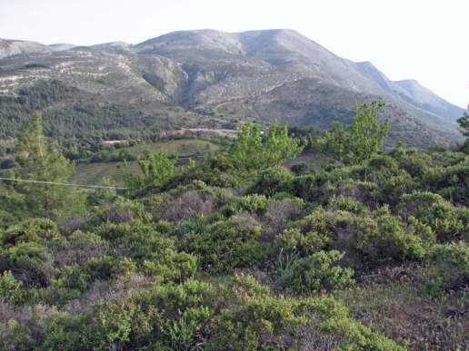 Rhodos