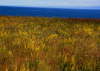 Baikalsee