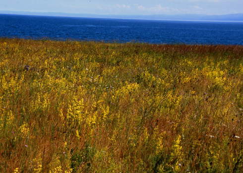 Baikalsee