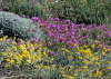 Sardinien