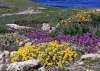 Sardinien