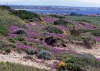 Sardinien