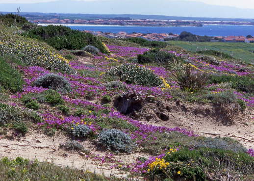 Sardinien