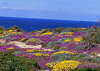 Sardinien