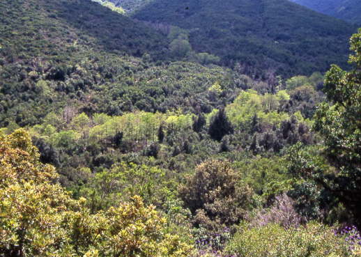 Sardinien