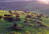 Sardinien
