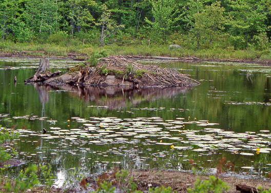 Kanada