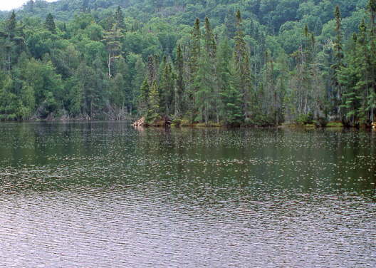 Kanada