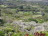 Rhodos