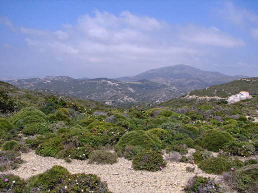 Rhodos