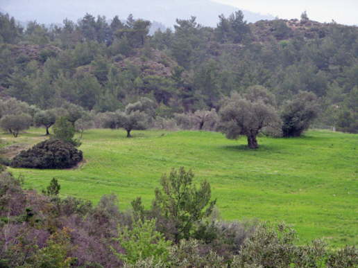 Landchaft bei Psinthos