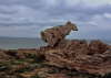 Sardinien