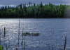 Kanada
