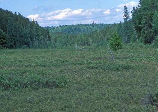 Kanada